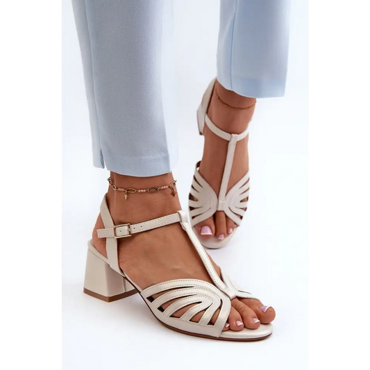 Elegant Women's Sandals with Low Block Heel for Dresses and More - Total Trendz